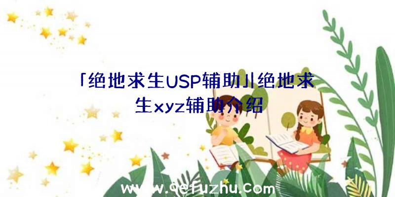 「绝地求生USP辅助」|绝地求生xyz辅助介绍